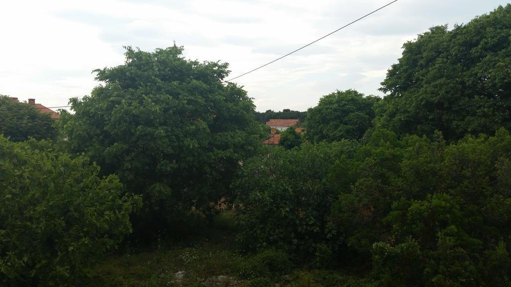 Apartments Lola Biograd Na Moru Dış mekan fotoğraf